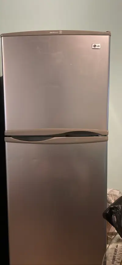 Refrigerador LG Electrocool de dos puertas - miniatura 1