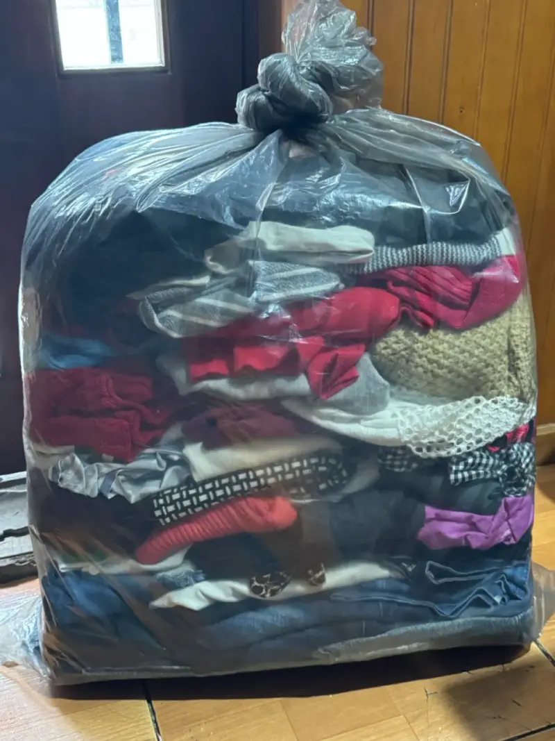 Lote de ropa variada para mujer en buen estado
