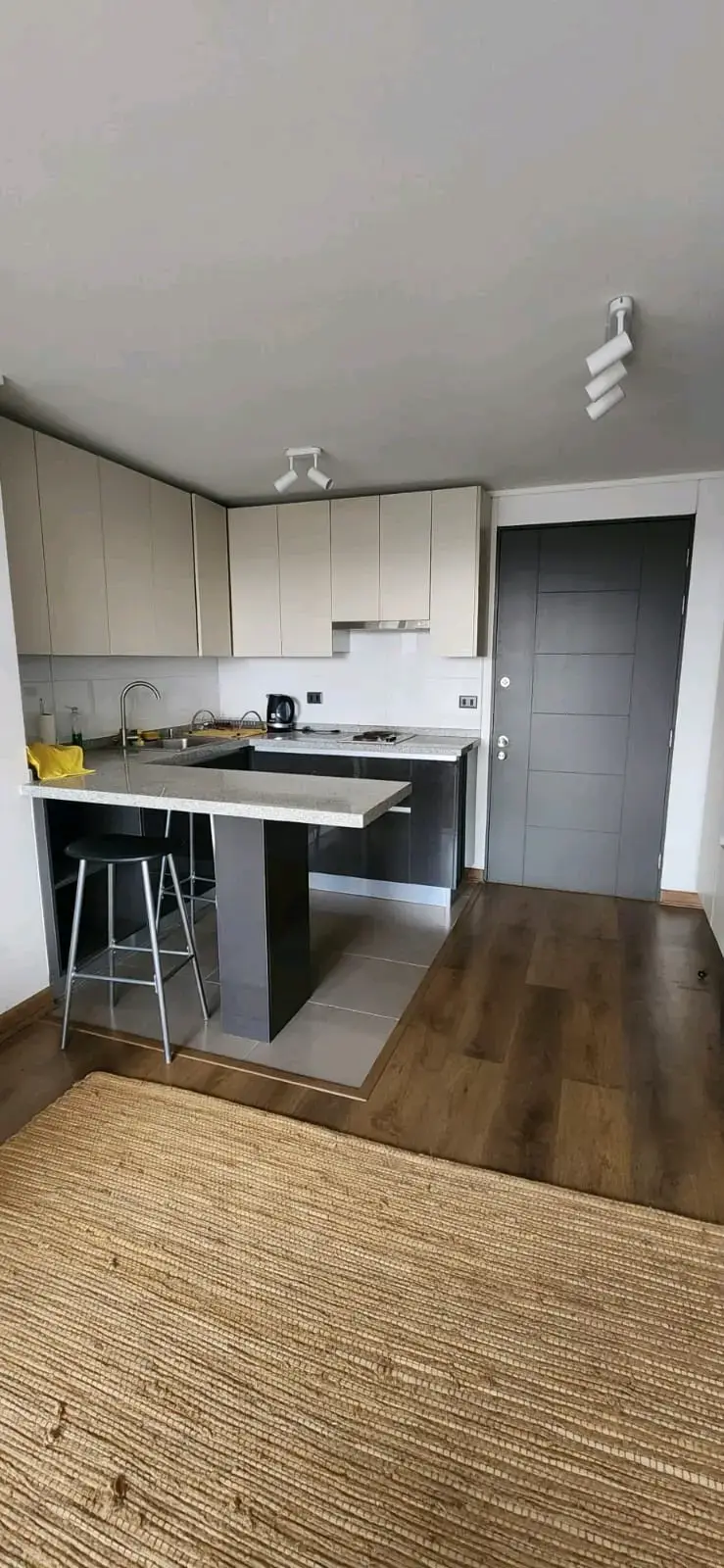 Arriendo departamento mariposa - 2