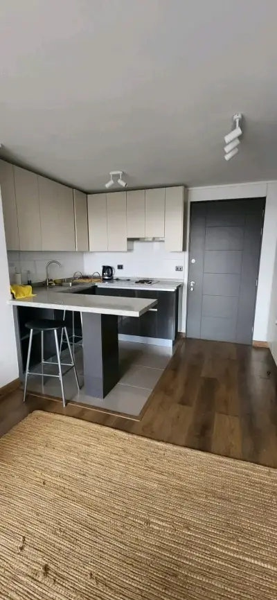 Arriendo departamento mariposa - miniatura 2