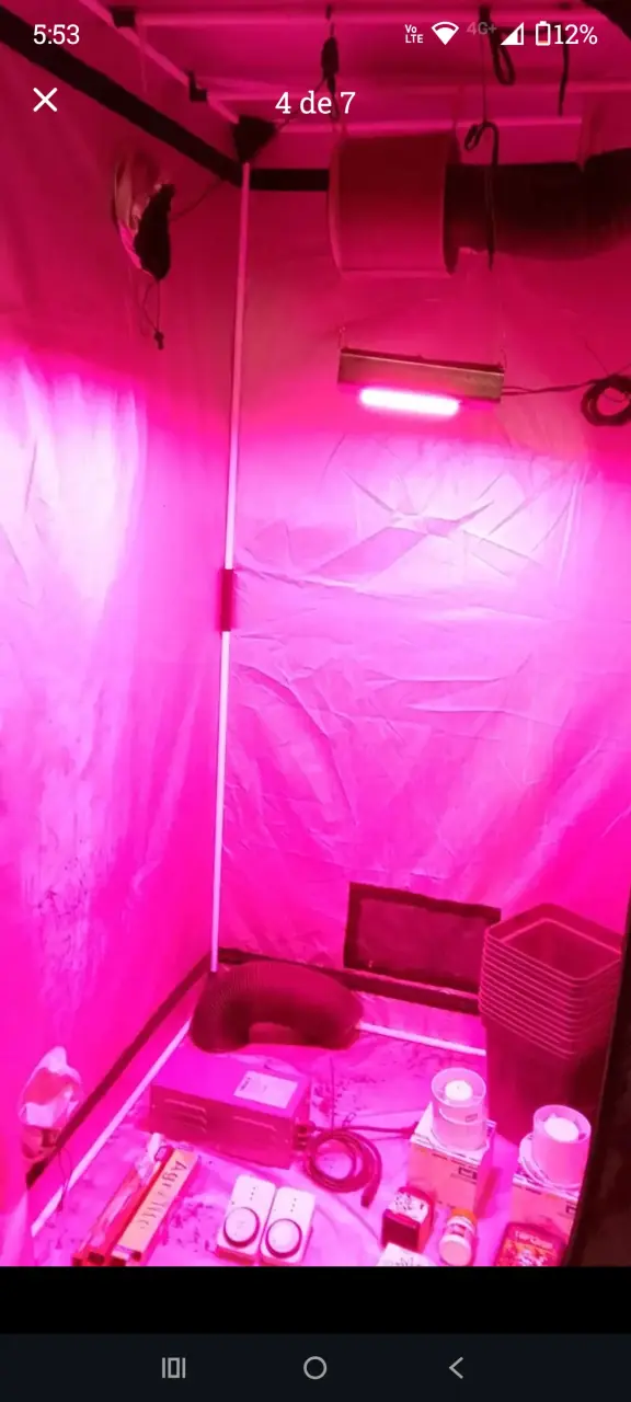 Carpa de cultivo interior con luz LED - 3