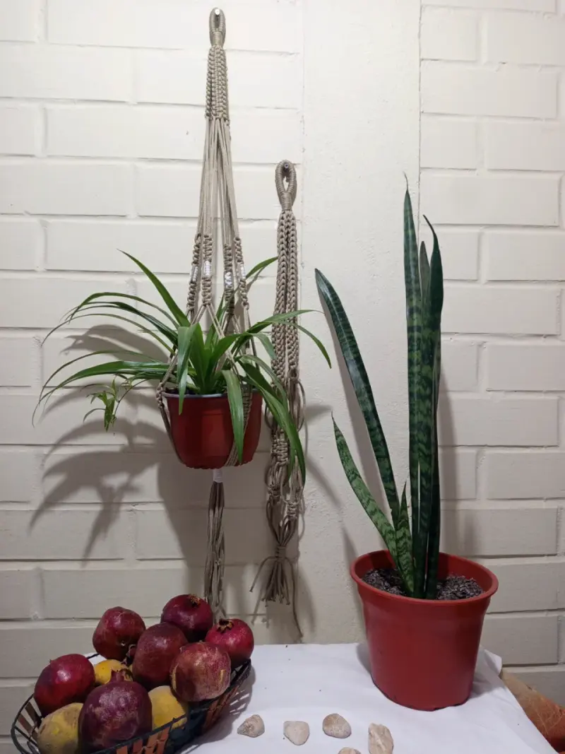 Decoración de pared búho macramé artesanal - 4