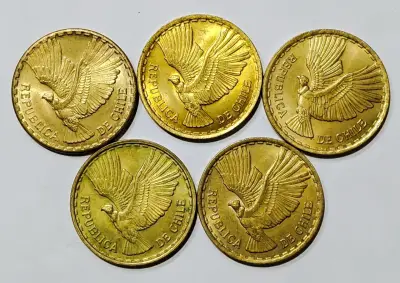 10 Monedas Chile 10 Centésimos 1961 - 1970 - miniatura 5