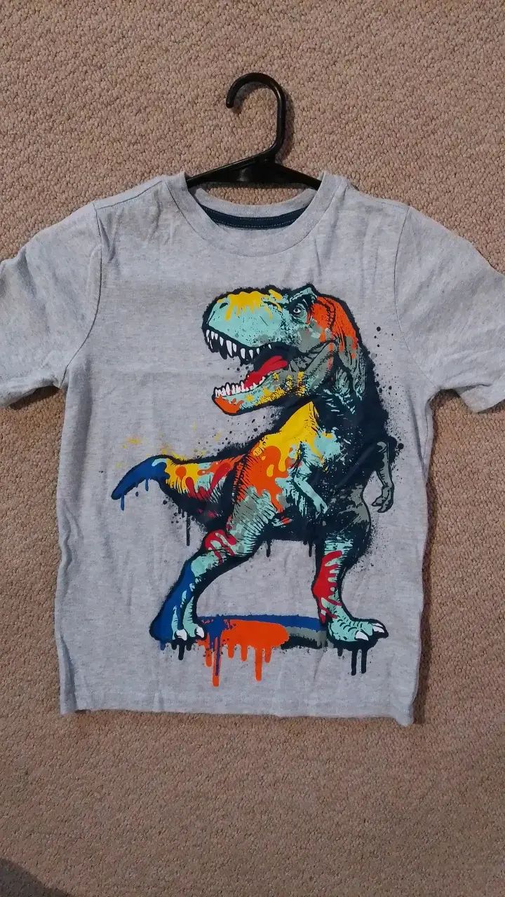Polera infantil gris con diseño de dinosaurio - 1