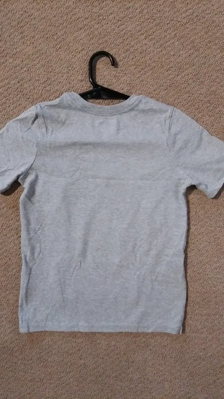 Polera infantil gris con diseño de dinosaurio - 2