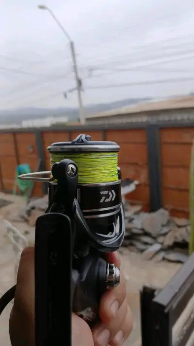 Carrete de pesca Daiwa bgmq - miniatura 1