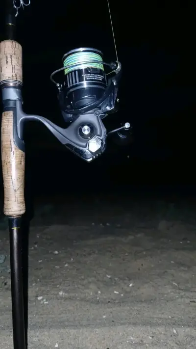 Carrete de pesca Daiwa bgmq - miniatura 2