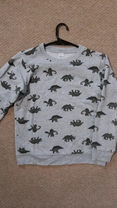 Polerón infantil gris con estampado de dinosaurios - miniatura 1