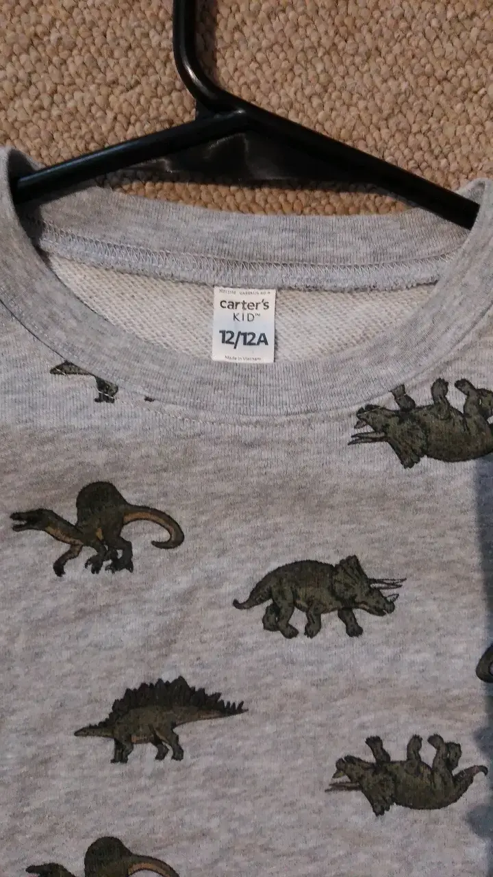 Polerón infantil gris con estampado de dinosaurios - 2