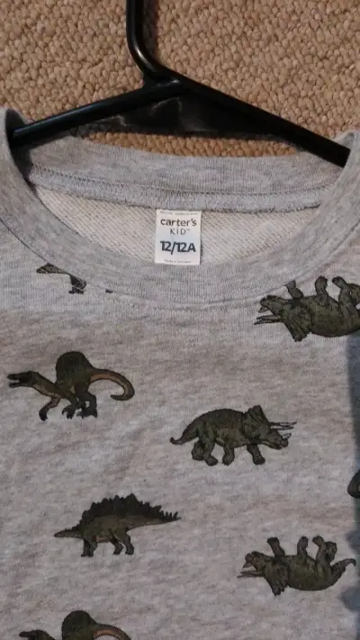 Polerón infantil gris con estampado de dinosaurios - miniatura 2
