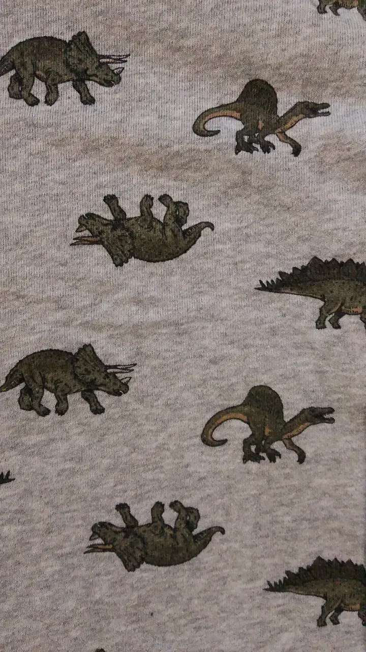 Polerón infantil gris con estampado de dinosaurios - 3