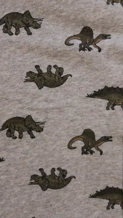 Polerón infantil gris con estampado de dinosaurios - miniatura 3