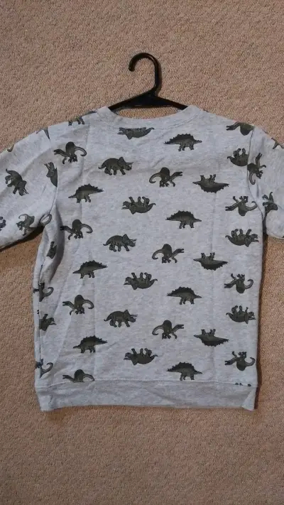 Polerón infantil gris con estampado de dinosaurios - miniatura 4