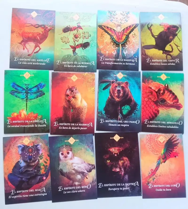 Oraculo Espiritu Animal con bolso Alternativo - 2