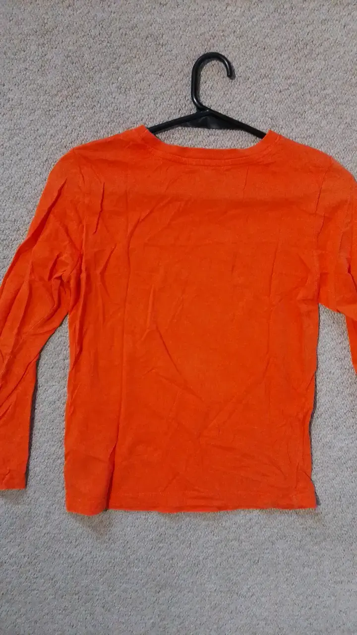 Polera naranja con diseño de tigre para niños - 3