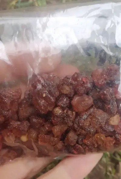 Sahumerio Naturai Incienso Blanco Mirra Sandalo - miniatura 3
