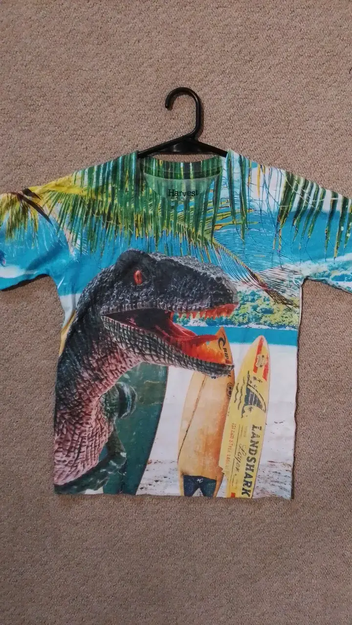 Polera estampada con dinosaurio y surf - 1