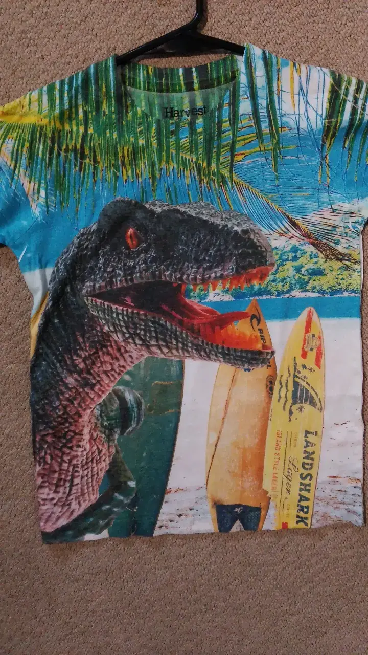 Polera estampada con dinosaurio y surf - 2