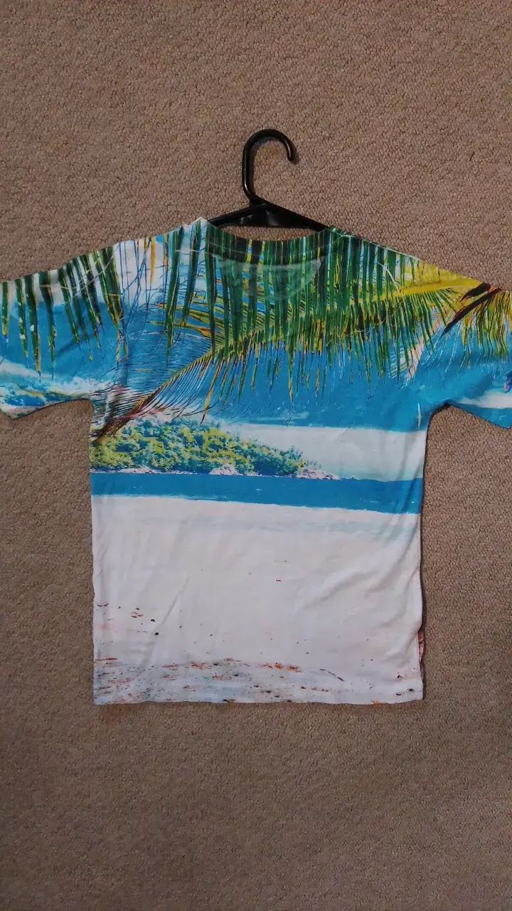 Polera estampada con dinosaurio y surf - 3
