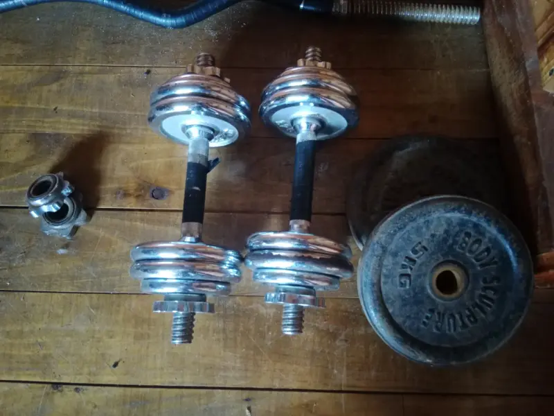 Mancuernas ajustables de metal para entrenamiento