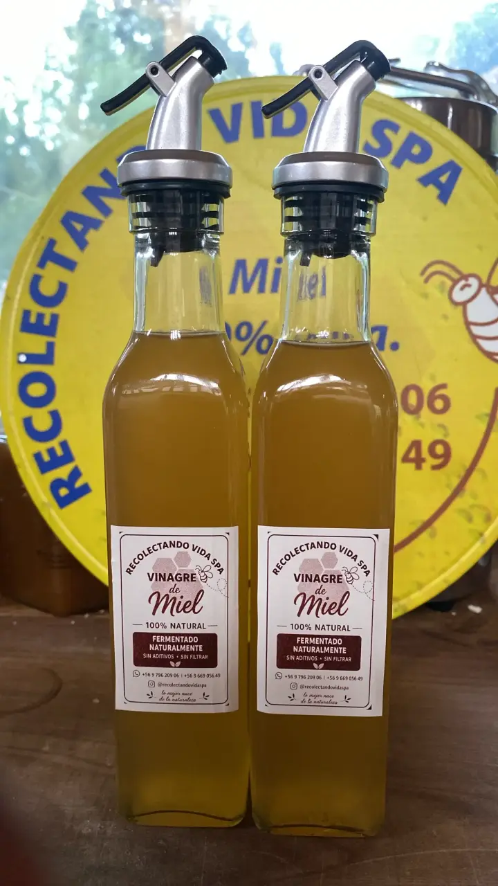 Vinagre de Miel 100% Natural Recolectando Vida Spa - 1