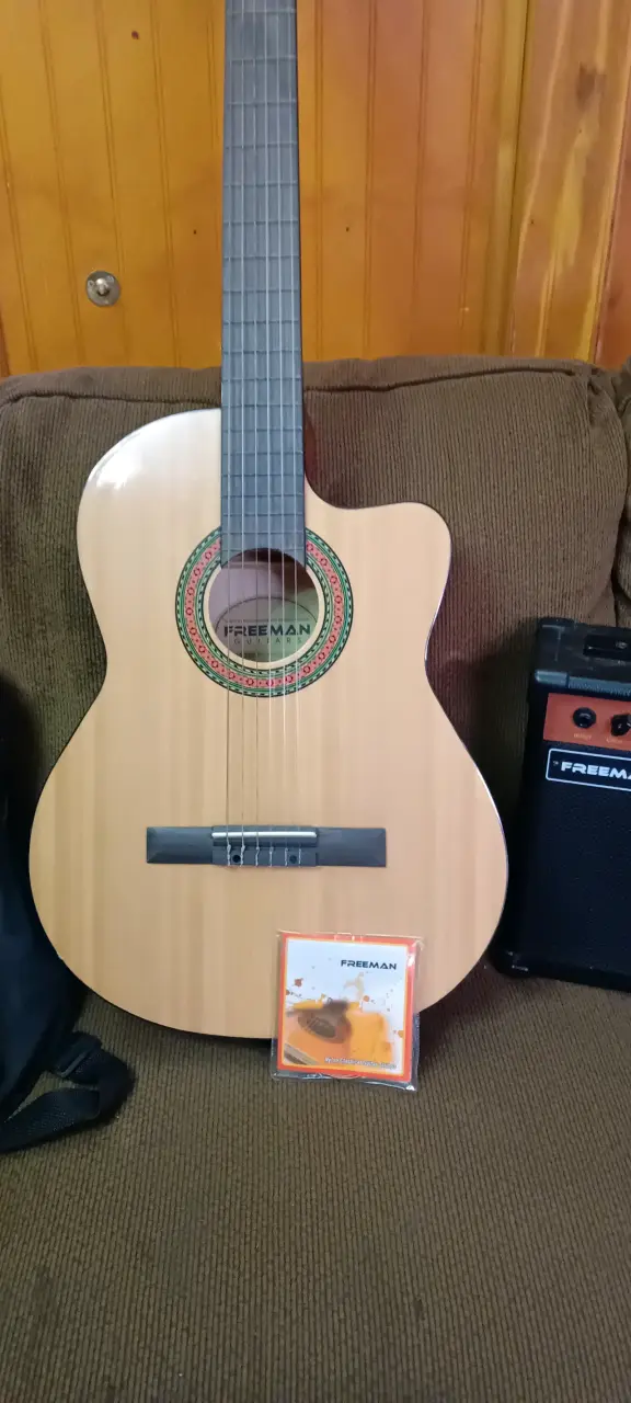 Guitarra electro-acústica con amplificador Freeman - 2