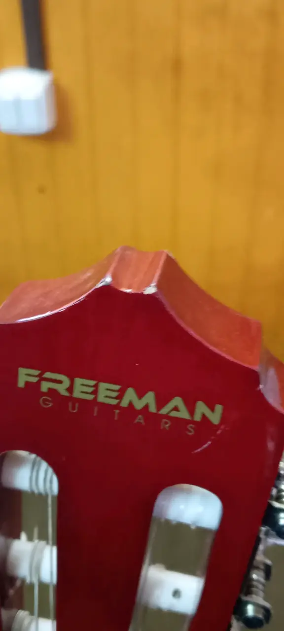Guitarra electro-acústica con amplificador Freeman - 3
