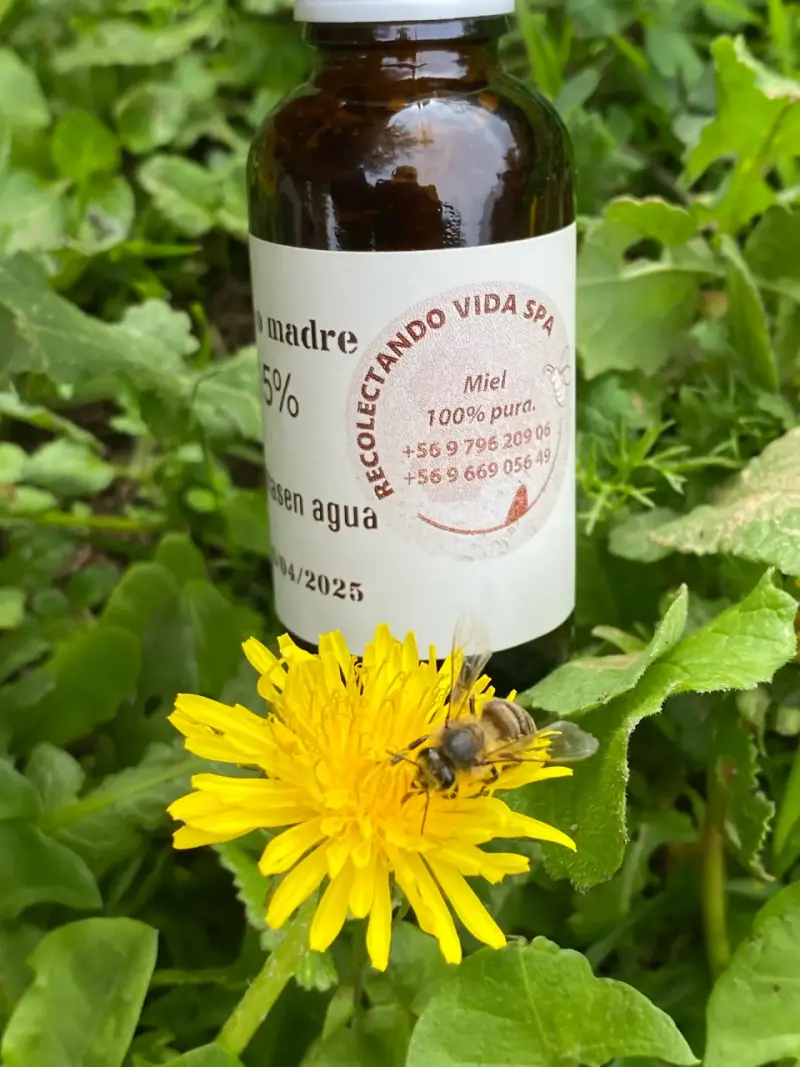 Propóleo al 15% Natural - 3