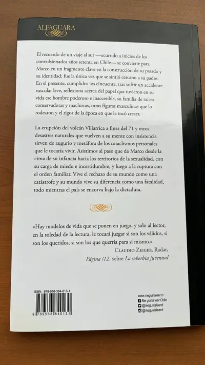 Libro 'Desastres Naturales' de Pablo Simonetti - miniatura 2
