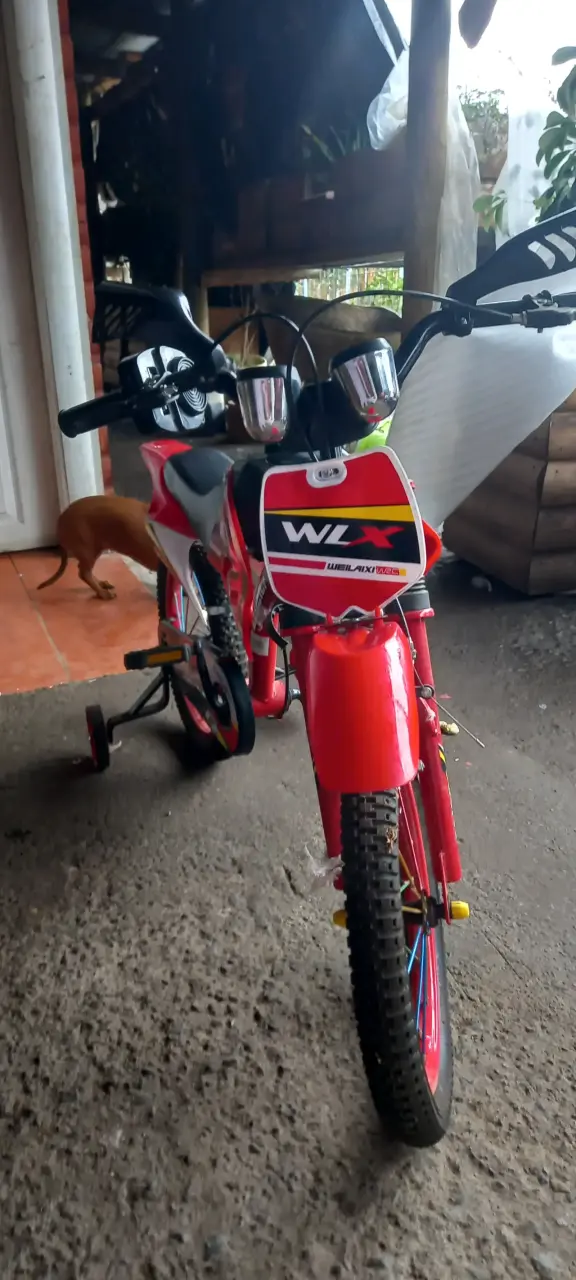 Bicicleta infantil roja con rueditas de apoyo - 2