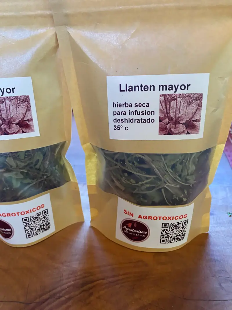 Hierbas secas para infusión sin agrotóxicos - 6