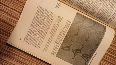 Tratado de Medicina Sexual por Kolodny et al. - miniatura 3