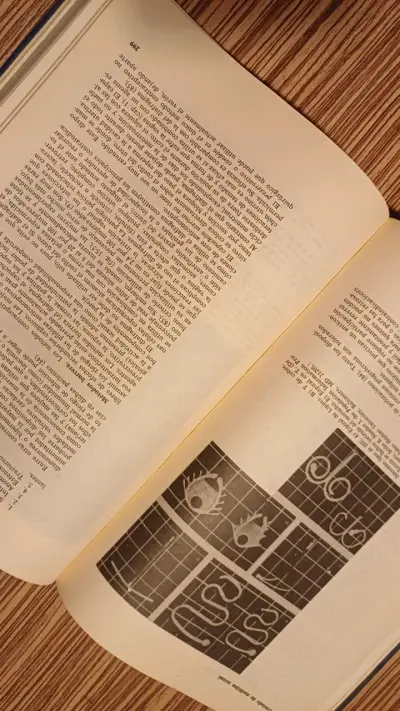 Tratado de Medicina Sexual por Kolodny et al. - miniatura 4