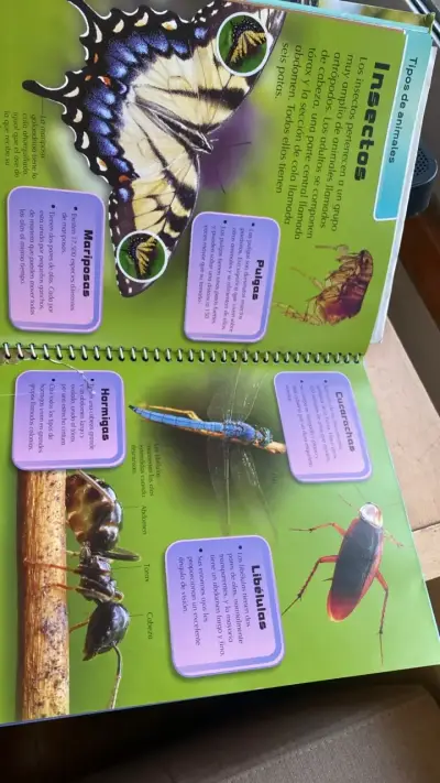 Libro educativo Mundo Animal con stickers y póster - miniatura 3