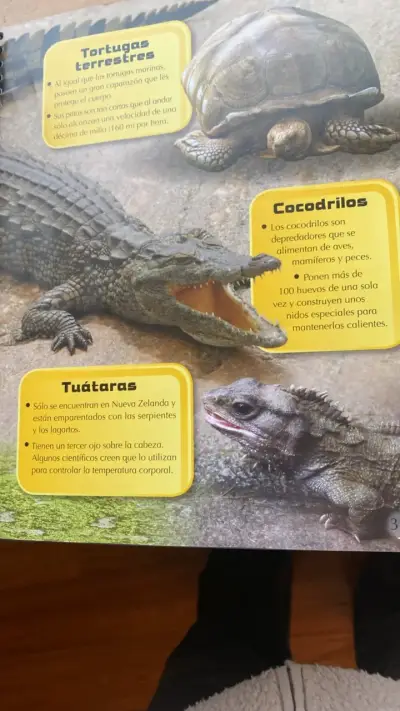 Libro educativo Mundo Animal con stickers y póster - miniatura 4