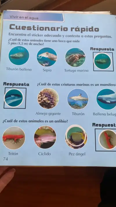 Libro educativo Mundo Animal con stickers y póster - miniatura 5