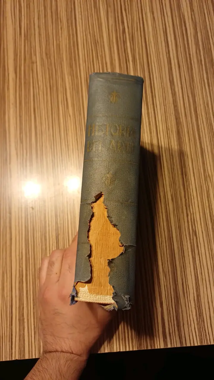 Libro Historia del Arte de J.F. Rafols - 2