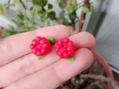 Aros de frambuesa de arcilla - miniatura 1