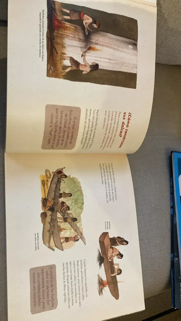 Libro El Alerce Gigante Milenario de Editorial Amanuta - 3