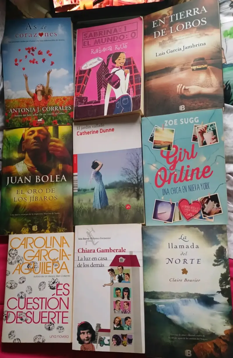 Lote de 9 libros variados de ficción y romance