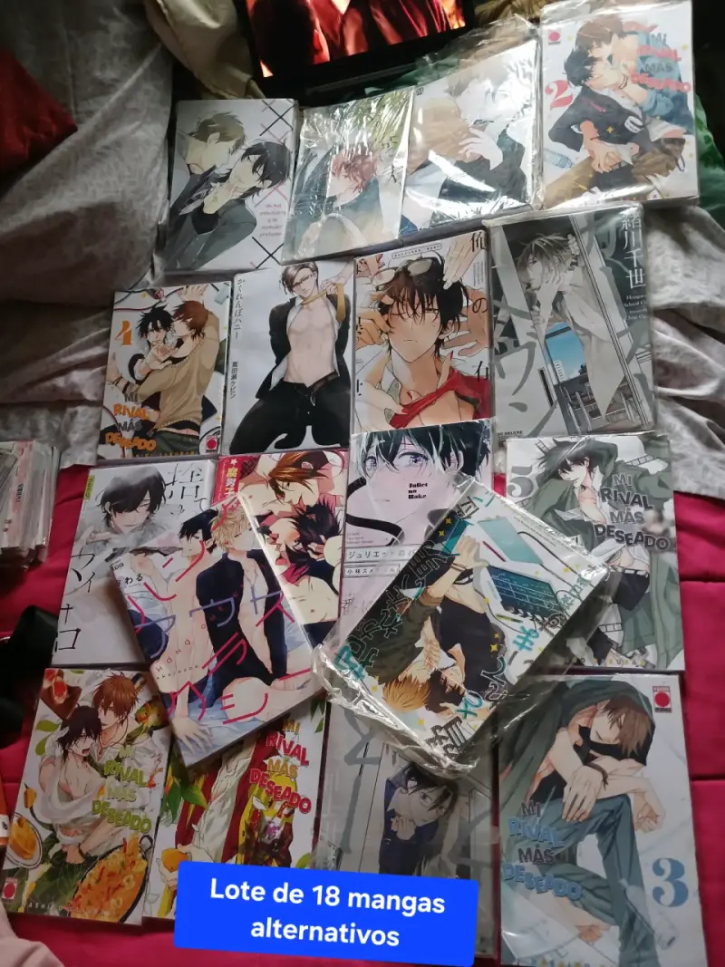 Lote de 18 mangas alternativos en buen estado