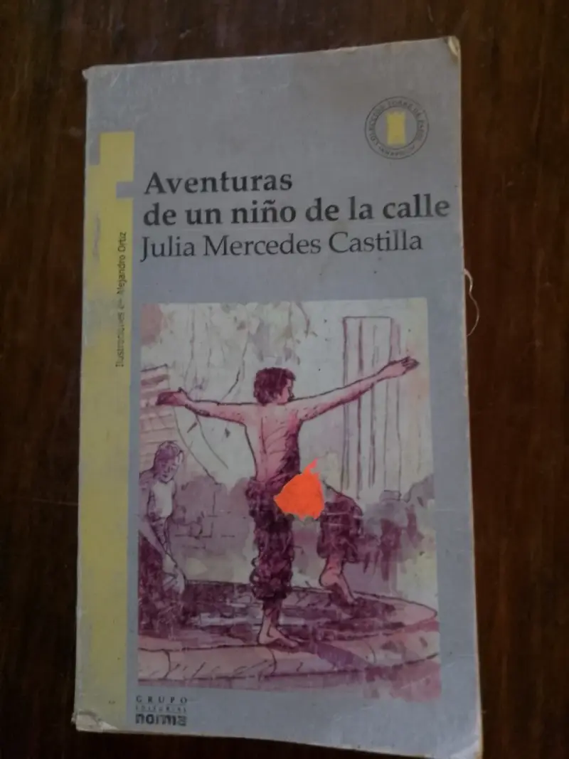 Libro Aventuras de un niño de la calle de Julia Mercedes Castilla