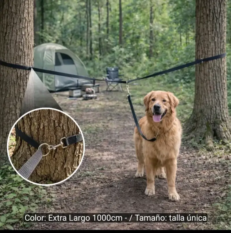 Correa para perros 10 metros - 2