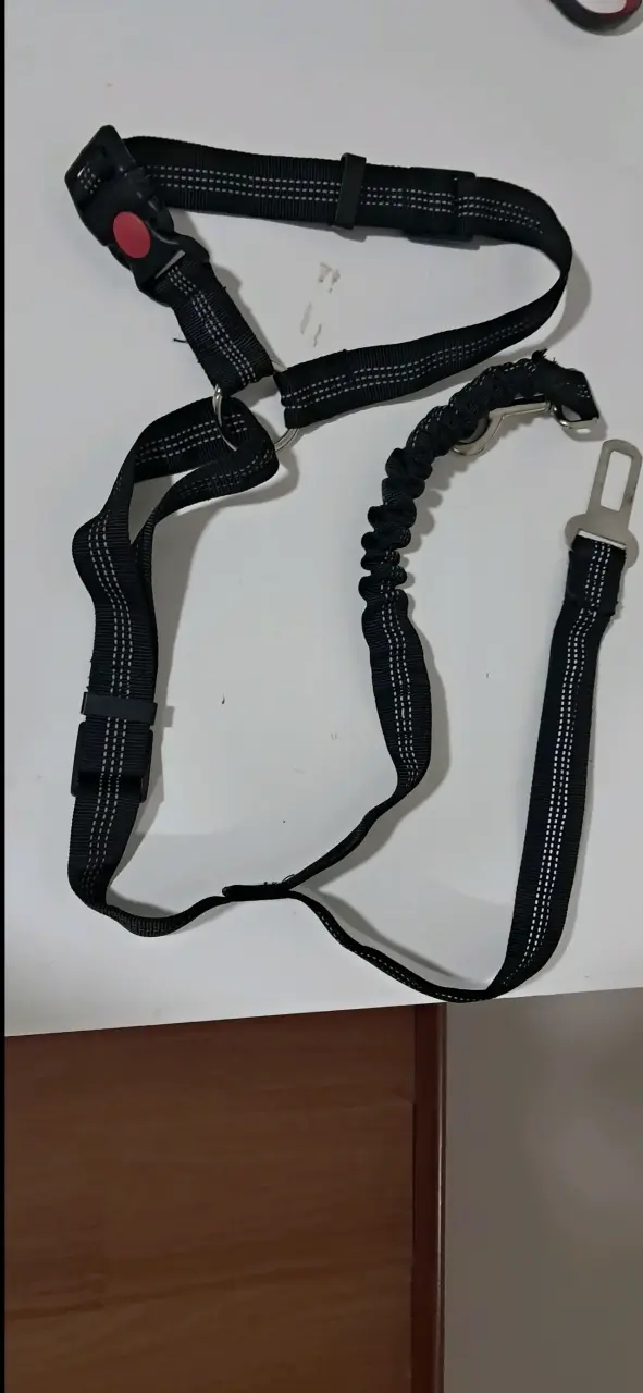 Cinturón de seguridad para perro ajustable - 4