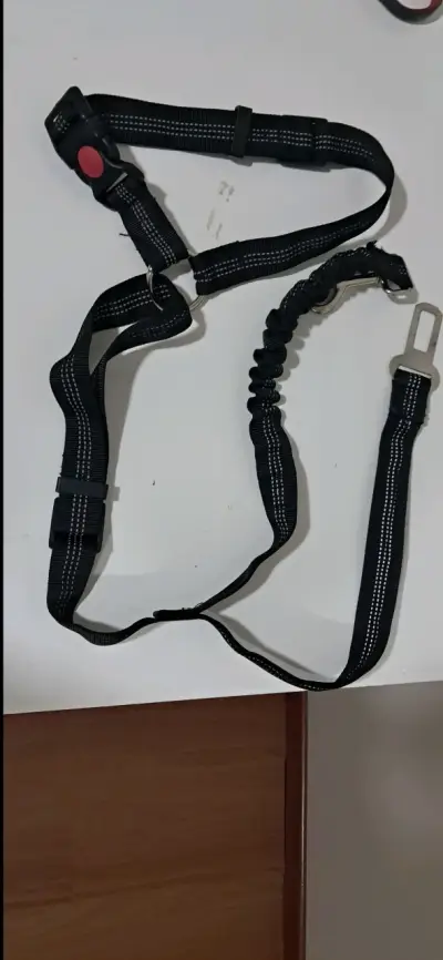 Cinturón de seguridad para perro ajustable - miniatura 4