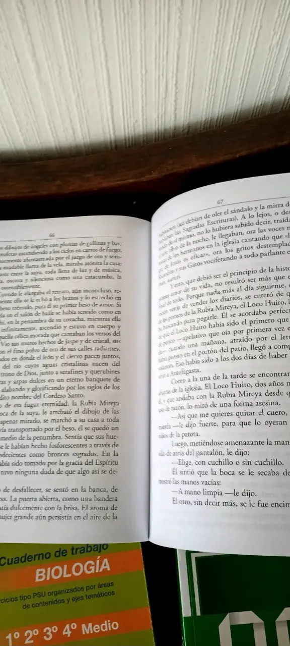 Libro 'Himno del ángel parado en una pata' de Hernán Rivera Letelier - 3