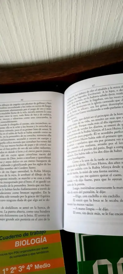Libro 'Himno del ángel parado en una pata' de Hernán Rivera Letelier - miniatura 3