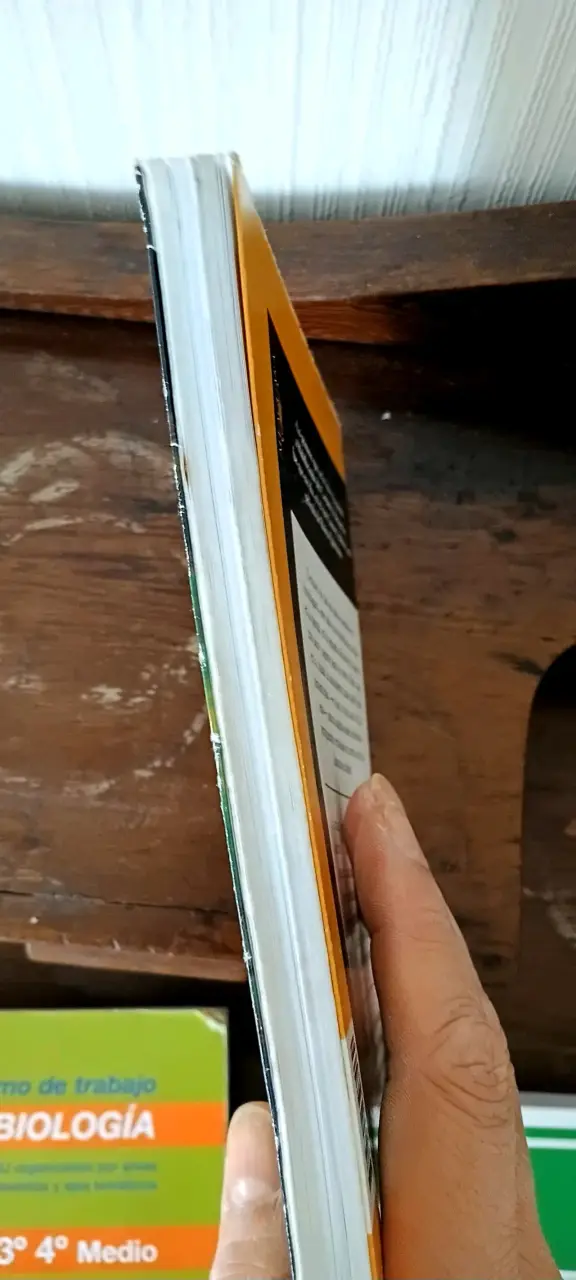 Libro 'Himno del ángel parado en una pata' de Hernán Rivera Letelier - 4
