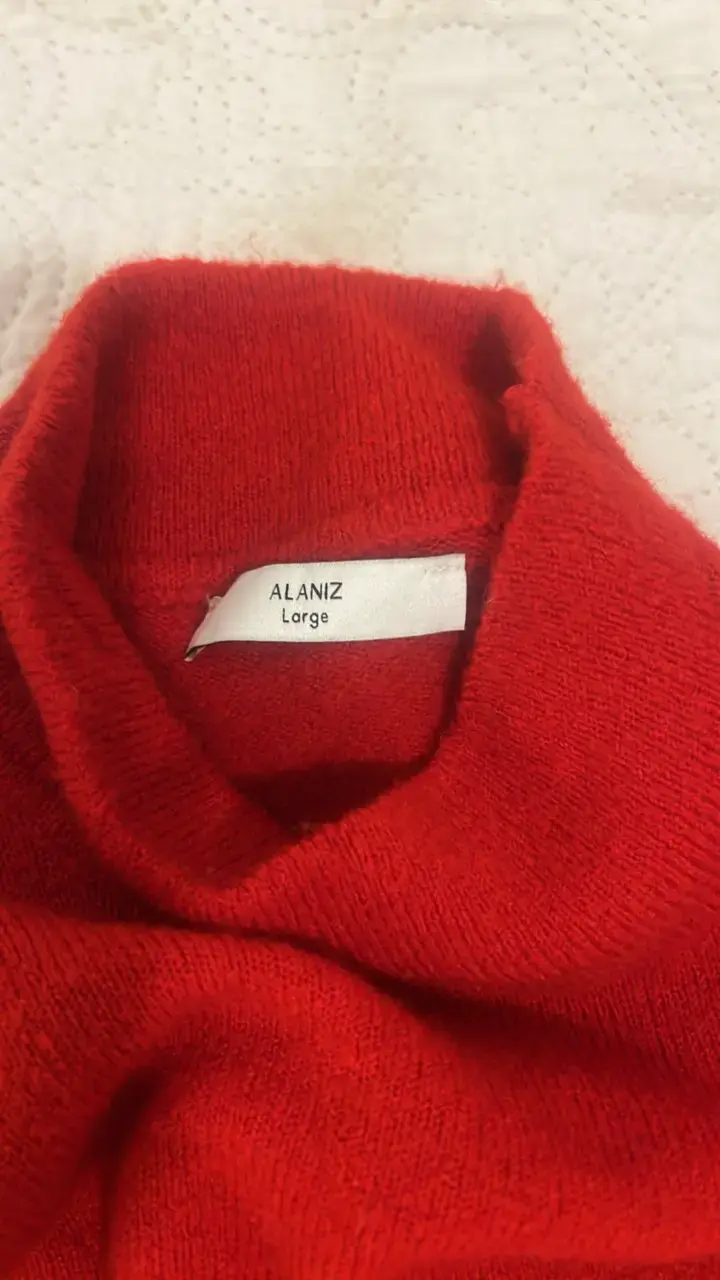 Suéter rojo de cuello alto Alaniz - 2