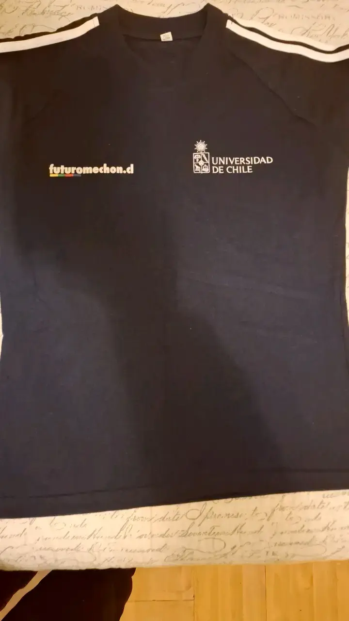 Polera azul con diseño Futuro Mechón - 2